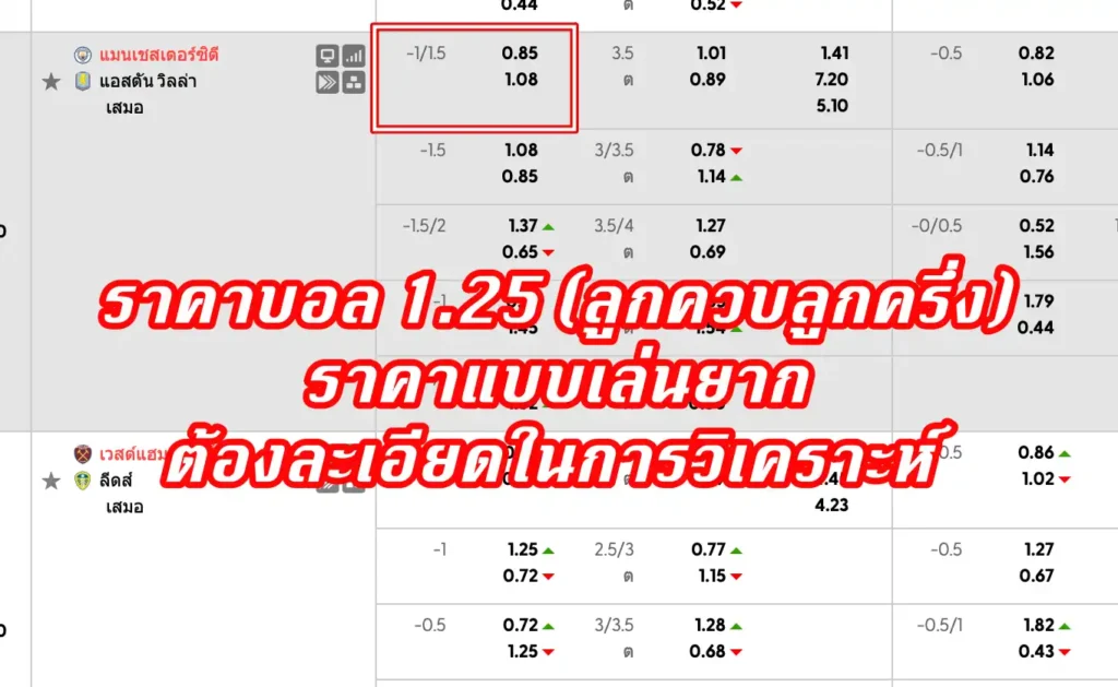 ราคาบอล 1.25 (ลูกควบลูกครึ่ง)