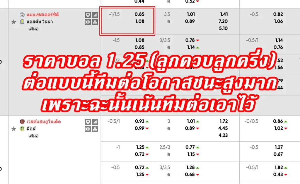 ราคาบอล 1.25 (ลูกควบลูกครึ่ง)