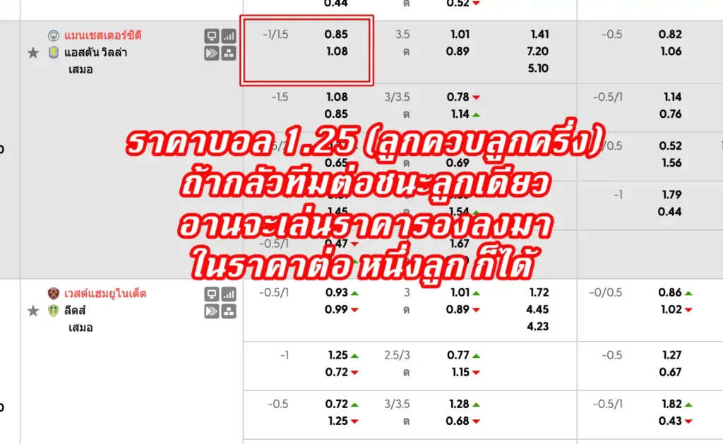 ราคาบอล 1.25 (ลูกควบลูกครึ่ง)