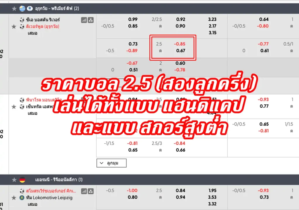 ราคาบอล 2.5 (สองลูกครึ่ง)