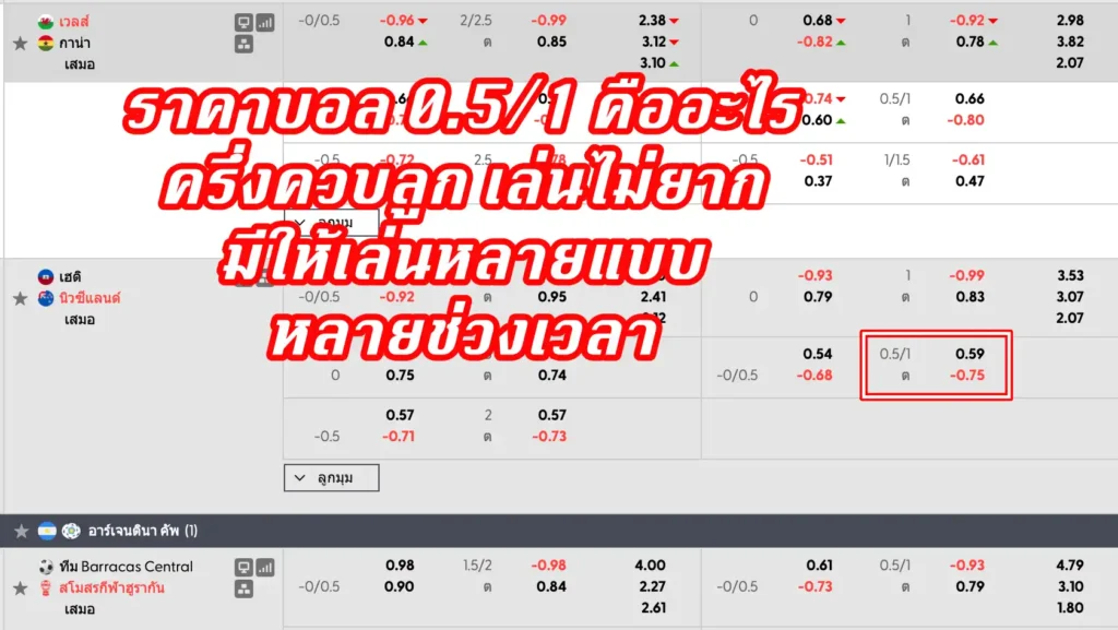 ราคาบอล 0.5/1 คืออะไร
